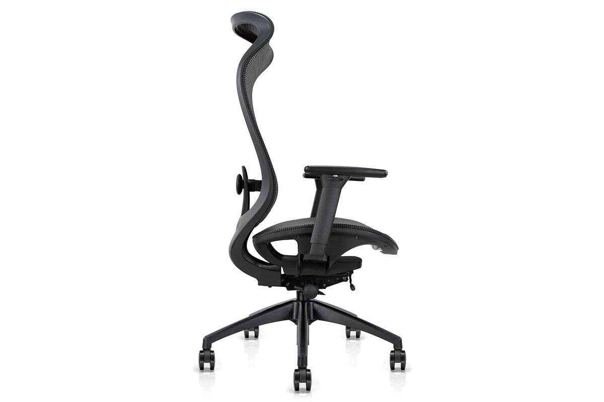 Pelican Ergonomic High Back Mesh Chair Jasonl 