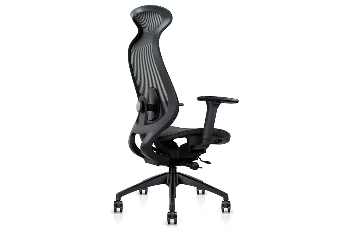 Pelican Ergonomic High Back Mesh Chair Jasonl 