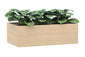 Planter Boxes