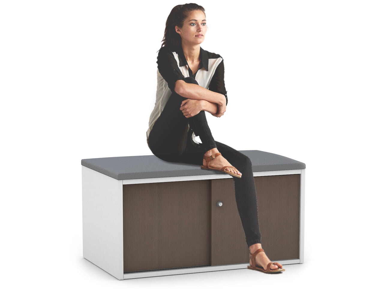 Uniform Low Sliding 2 Door Credenza - Top Cushion Jasonl 