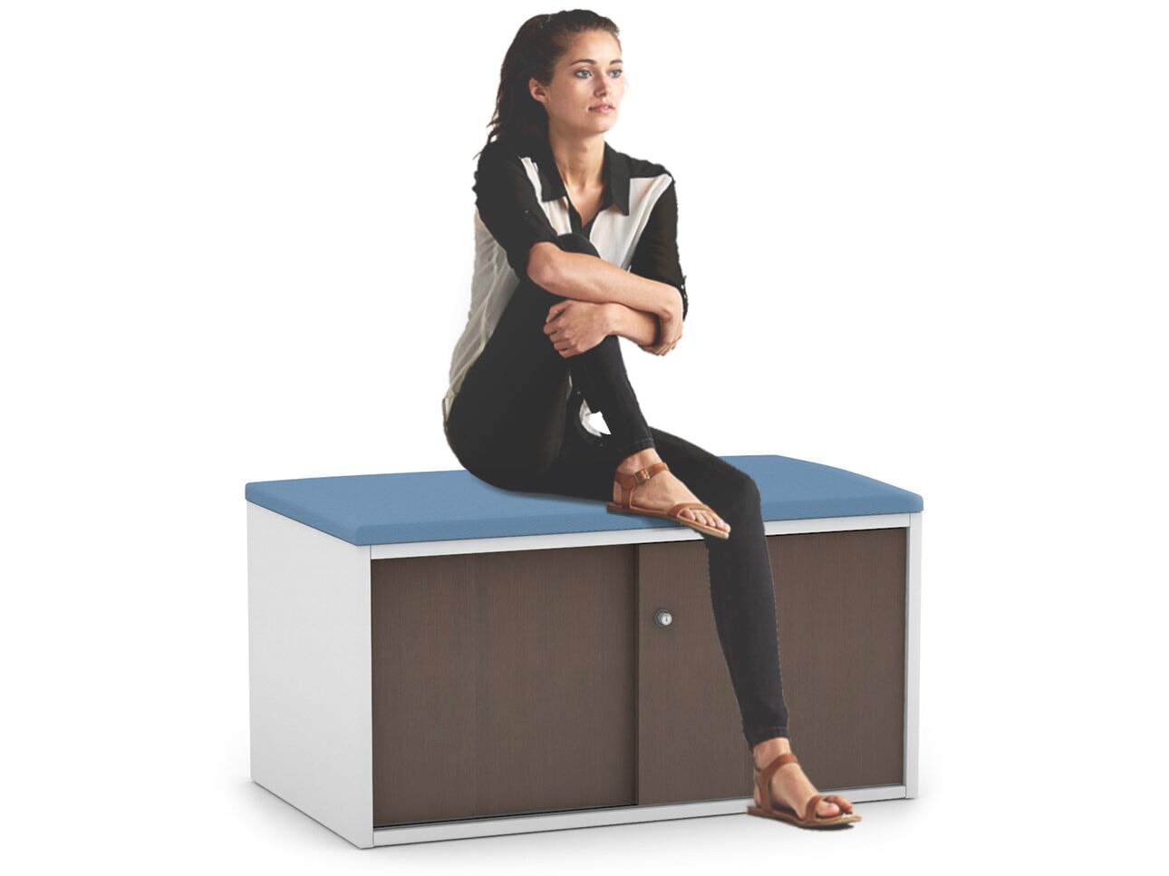 Uniform Low Sliding 2 Door Credenza - Top Cushion Jasonl 