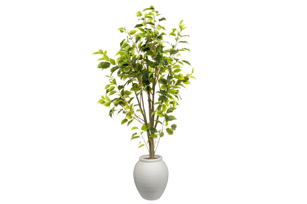 Flora Artificial Ficus 1200mm-arc pot small  