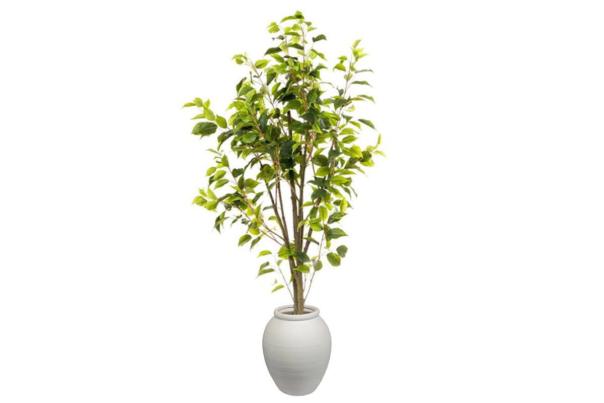 Flora Artificial Ficus 1200mm Flora arc pot small 