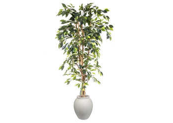 Flora Artificial Ficus Tree 1700mm Flora arc pot small 