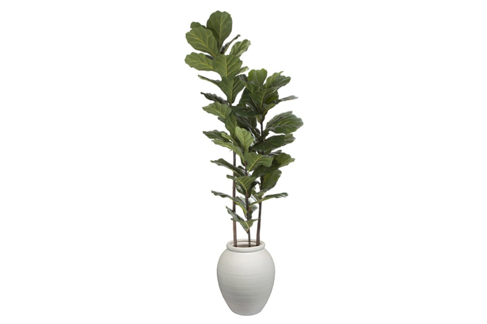 Flora Artificial Fiddle Leaf Tree 1680mm-arc pot large  
