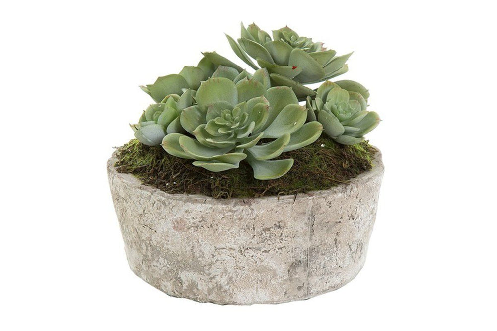 Flora Artificial Green Succulent In Ceramic Pot-green succulent  