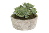 Flora Artificial Green Succulent In Ceramic Pot - Thumbnail 1 