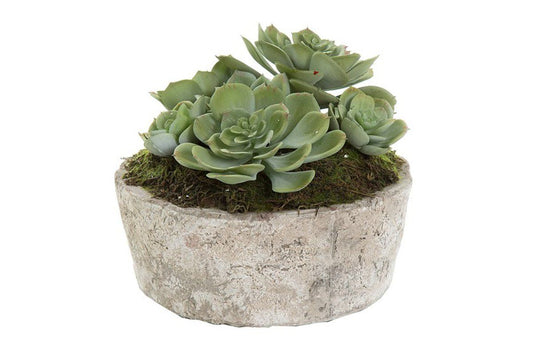 Flora Artificial Green Succulent In Ceramic Pot Flora green succulent 