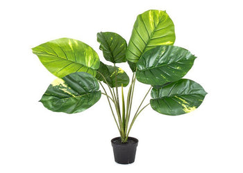 Flora Artificial Pothos Real Touch 700mm Flora Green 