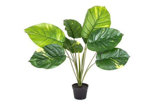 Flora Artificial Pothos Real Touch 700mm Flora Green 
