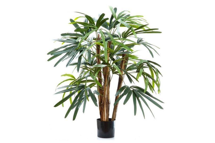 Environmental image of Flora Artificial Raphis Palm with 236 Leaves 1000mm