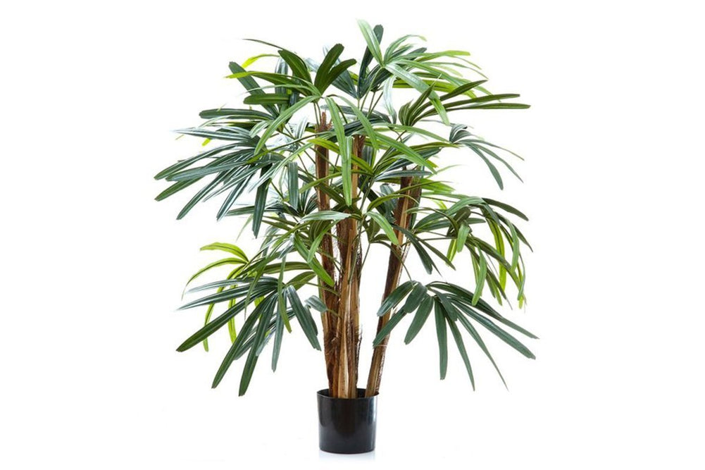 Flora Artificial Raphis Palm with 236 Leaves 1000mm-none  