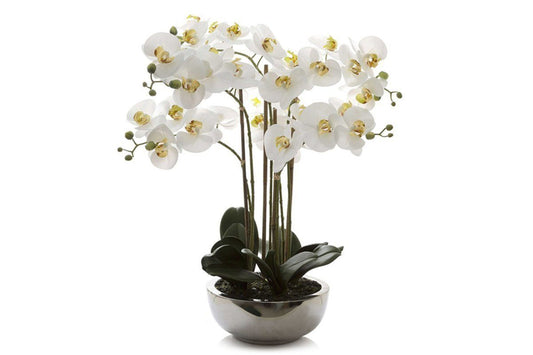 Flora Artificial Real Touch Phal Orchid in Silver Pot Flora phal orchid 