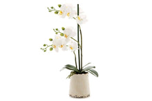  - Flora Artificial White Orchid in Ivory Pot - 1