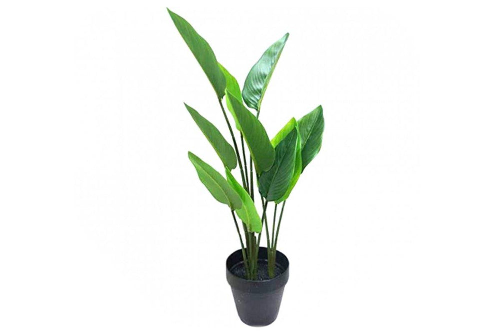 Flora Birds of Paradise Real Touch 10 Leaves-birds of paradise real touch  