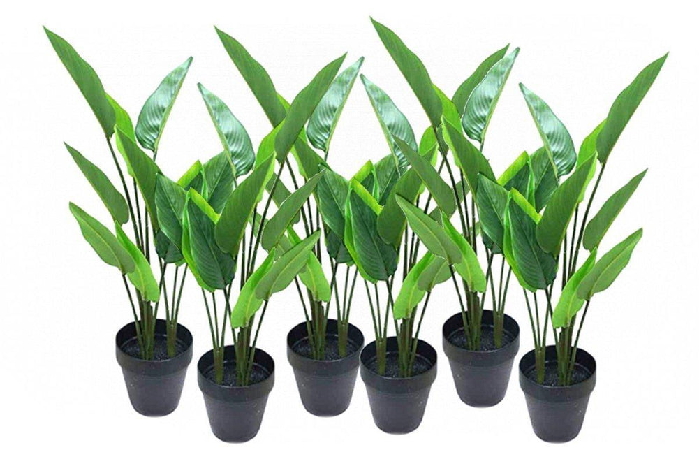 Flora Birds of Paradise Real Touch 10 Leaves - Set of 6-birds of paradise real touch  