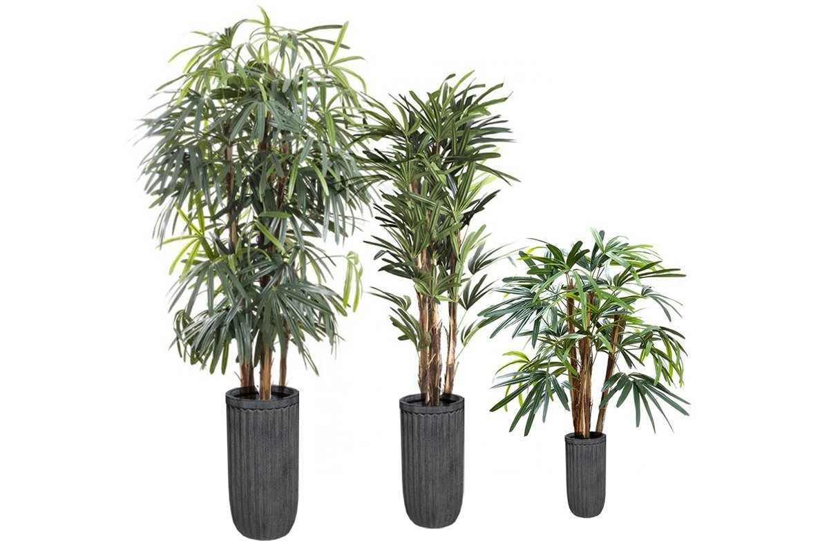 Flora Comores Planter Set of 3 Flora raphis palm set 