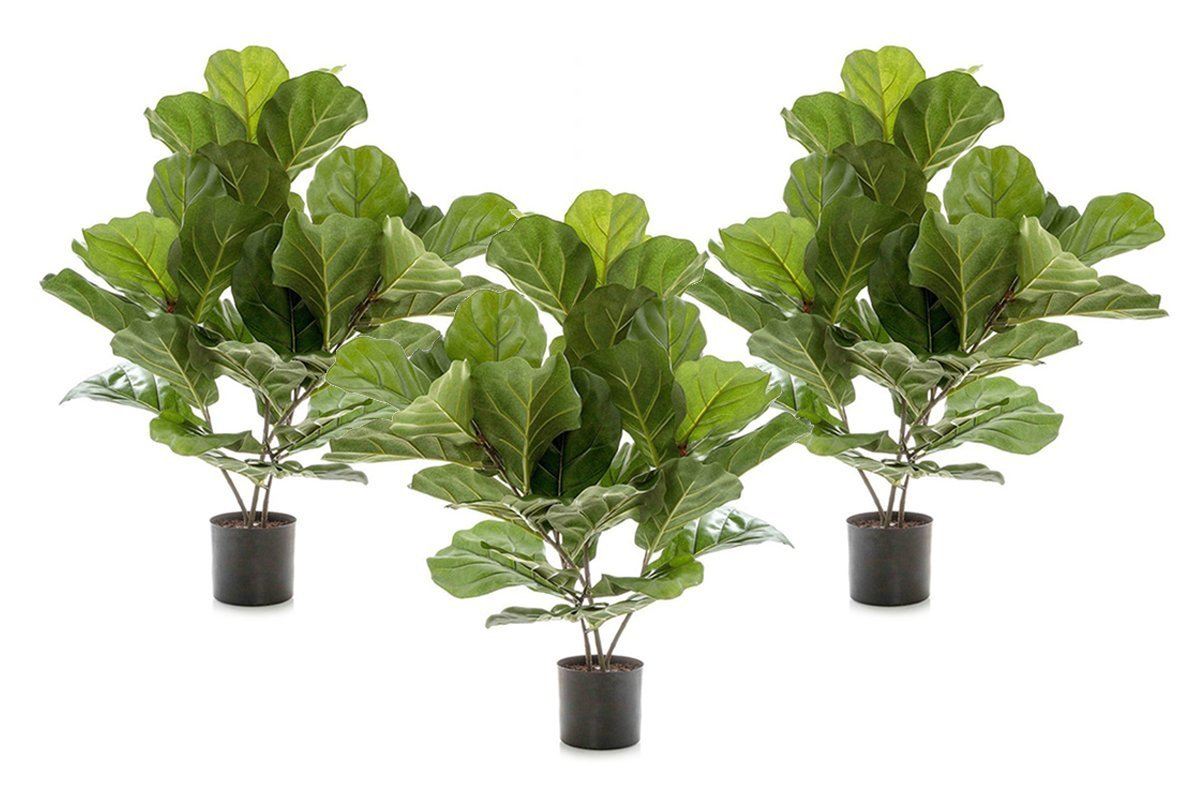 Flora Fiddle Leaf Fig Potted Plant with 36 Leaves 650mm H - Set of 3 Flora fiddle leaf fig potted plant 