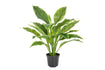 Flora Hosta Plant Real Touch in Pot Flora hosta plant real touch 