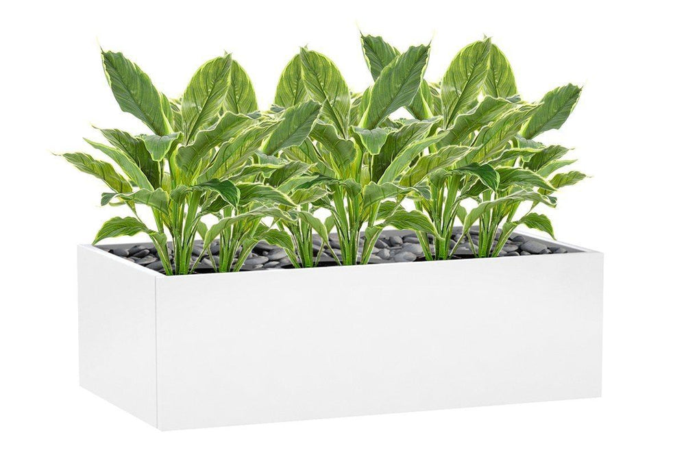 Flora Hosta Plant Real Touch in Pot - Set of 6-host plant real touch  