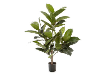 Flora Rubber Plant Tree with 58 Leaves 960mm H Flora rubber plant tree 