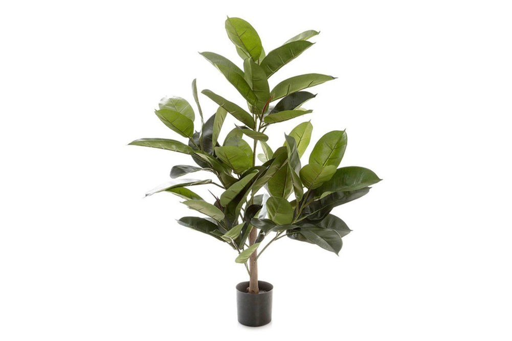 Flora Rubber Plant Tree with 58 Leaves 960mm H-rubber plant tree  