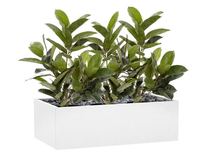 Flora Rubber Plant Tree with 58 Leaves 960mm H - Set of 3 Flora 