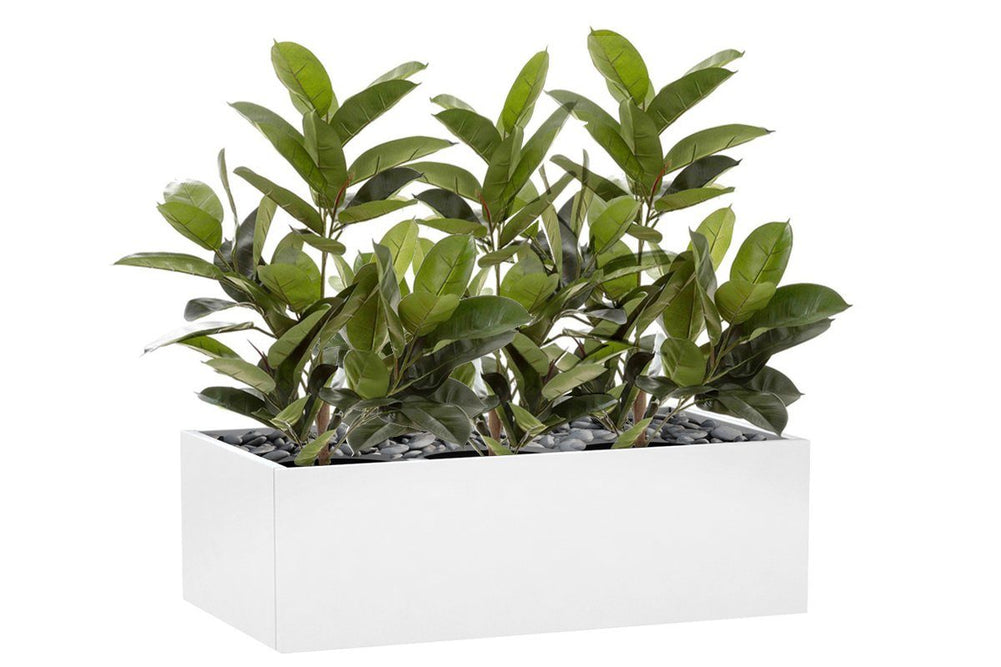 Flora Rubber Plant Tree with 58 Leaves 960mm H - Set of 3-rubber plant tree  