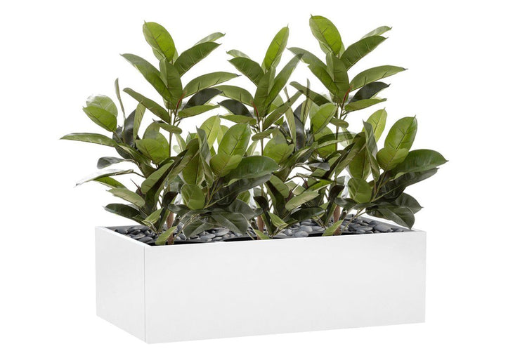Flora Rubber Plant Tree with 58 Leaves 960mm H - Set of 3 Flora 