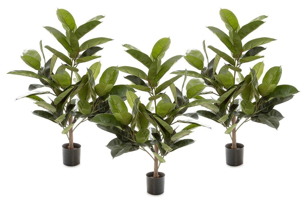 Flora Rubber Plant Tree with 58 Leaves 960mm H - Set of 3-rubber plant tree  