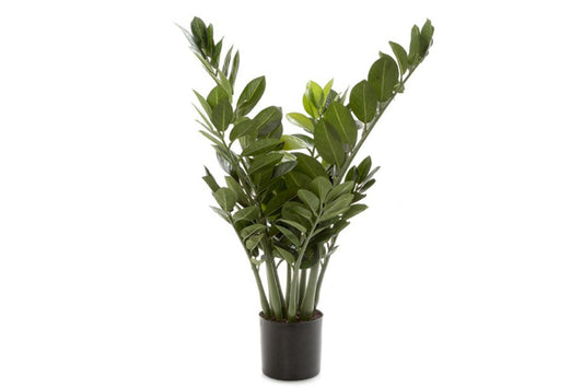Flora Smargago Potted Plant Group of 10 Branches with 160 Leaves 660mm H Flora smargago potted plant 