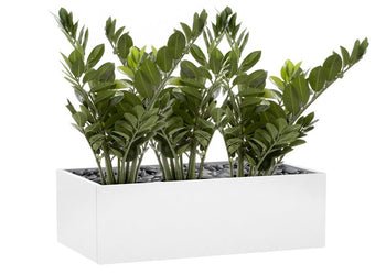 Flora Smargago Potted Plant Group of 10 Branches with 160 Leaves 660mm H - Set of 3 Flora 