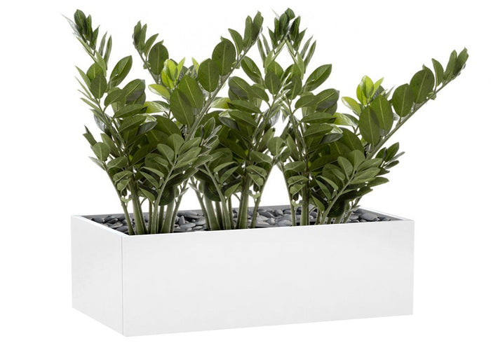 Flora Smargago Potted Plant Group of 10 Branches with 160 Leaves 660mm H - Set of 3 Flora 