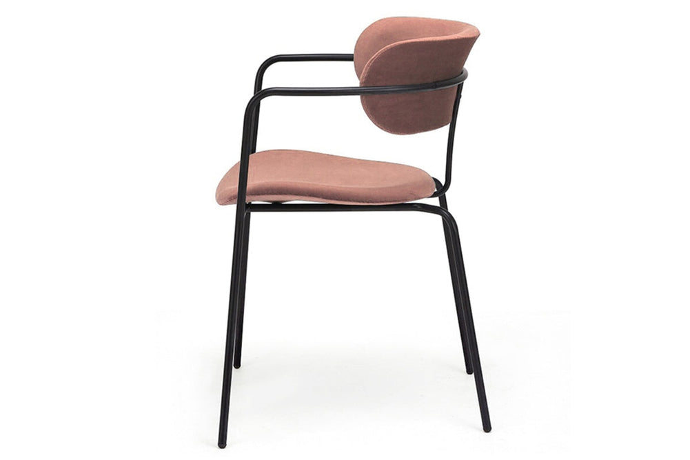 Pedigree Visitor Chair - Velvet-rose  