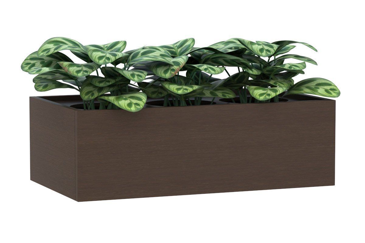 Planter Box - Melamine Jasonl wenge 