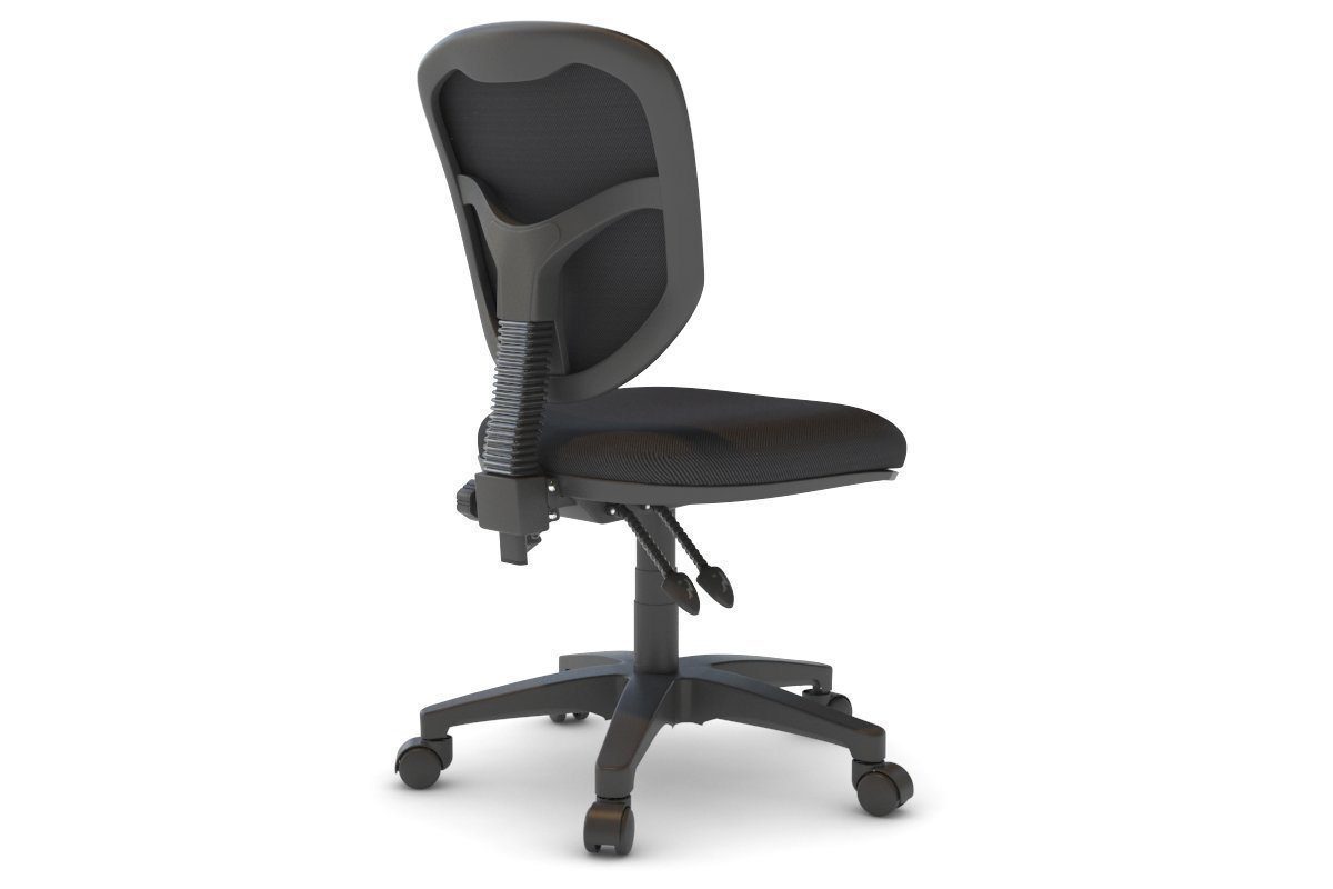 Plover Ergonomic Chair - Fabric Back Jasonl 