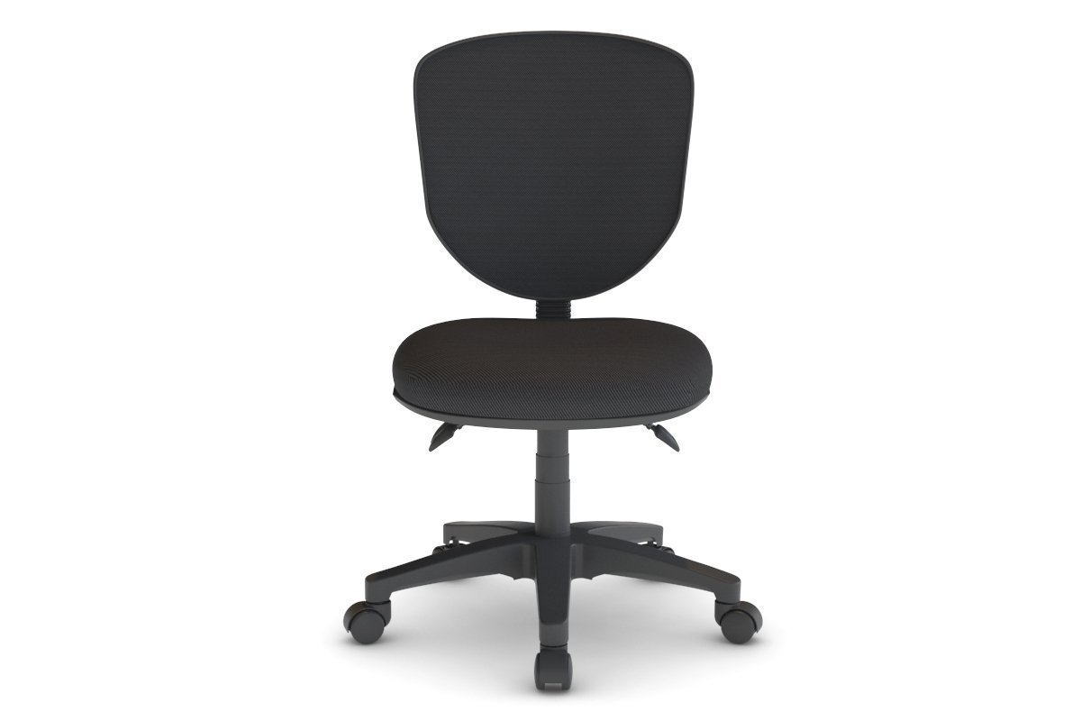 Plover Ergonomic Chair - Fabric Back Jasonl 