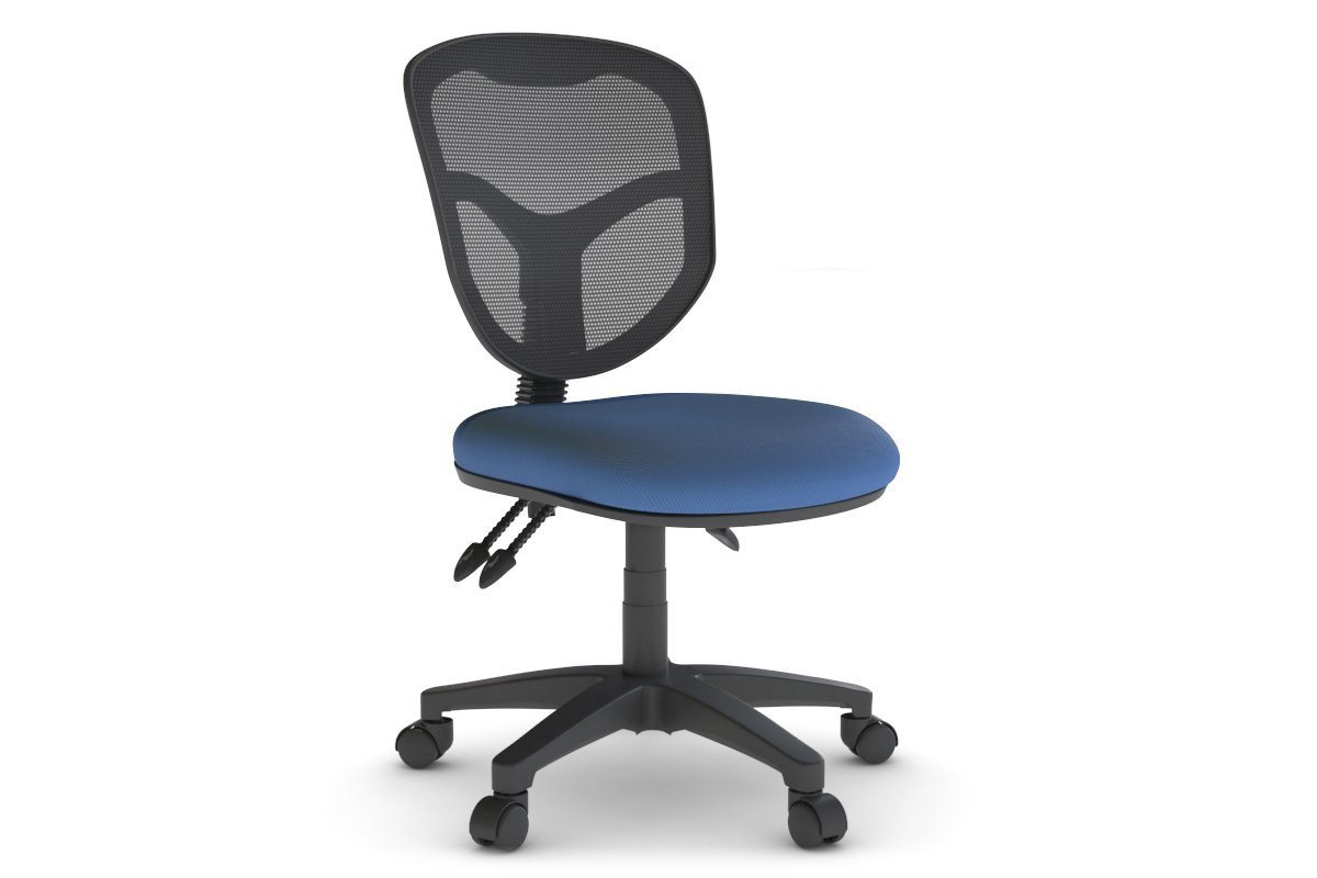 Plover Ergonomic Office Chair - Mesh Back Jasonl blue none 