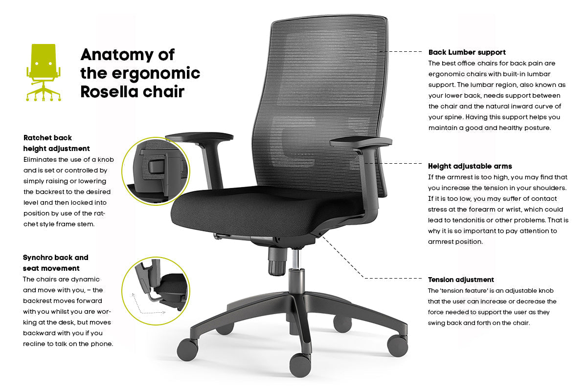 Rosella Ergonomic Office Chair - Adjustable Back Jasonl 