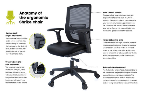Shrike Ergonomic Office Chair