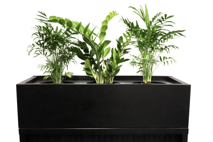 Sonic Tambour Siliding Door Storage Cabinet Metal - Black [1200W x 473D] Sonic 1016H none black planter box