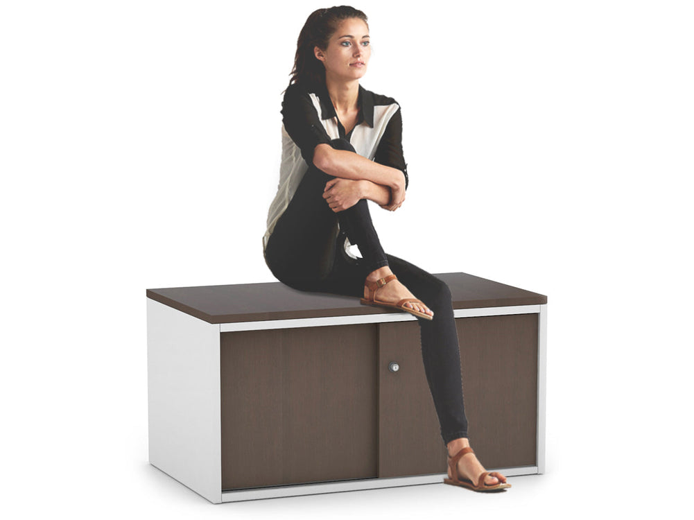 Uniform Low Sliding 2 Door Credenza-Wenge  